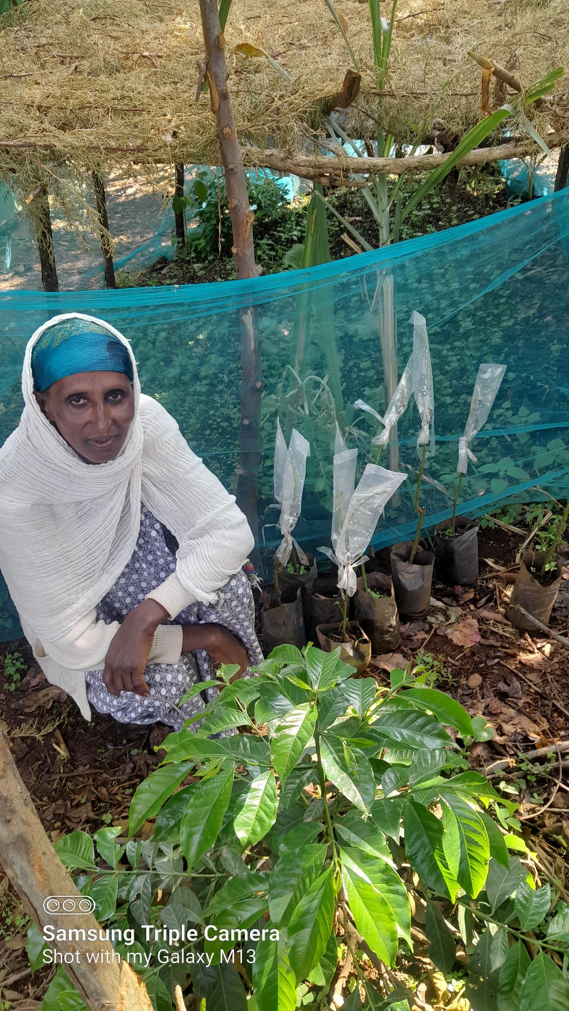Community development activity